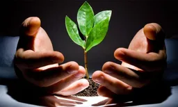 为什么选择我们-4